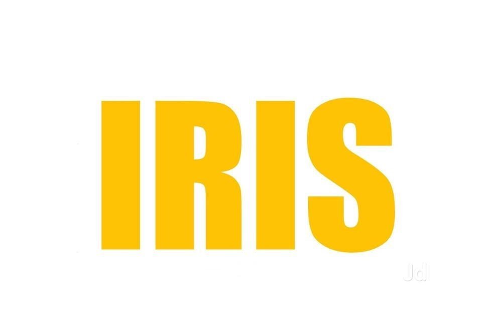 iris python developer