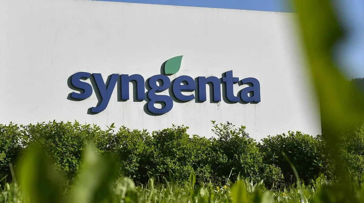 Syngenta logo, blue text with a green leaf, on a white wall above green shrubs and grass.